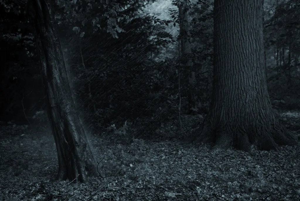 Sudden rain in Bremen Volkspark.